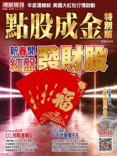 第1224+1225期 點股成金